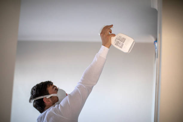 Certified Mold Removal in Starbuck, MN